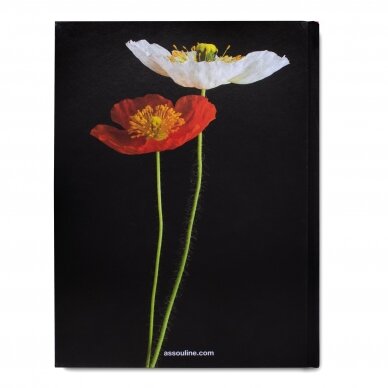 KNYGA "FLOWERS: ART & BOUQUETS "ASSOULINE" 3